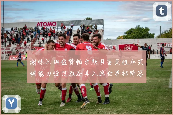 谢林汉姆盛赞帕尔默具备灵性和突破能力强烈推荐其入选世界杯阵容